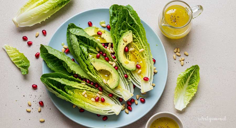 요즘 뜨는 유럽 상추 로메인 샐러드