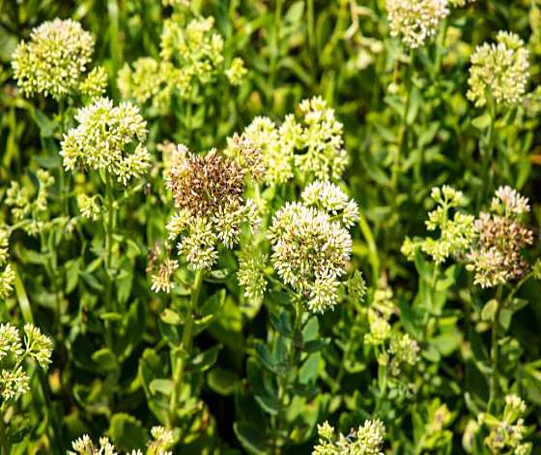 증권박물관 이전추진 사무실