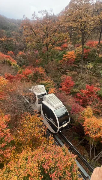 화담숲 단풍 절정시기 예약 방법까지 정리_19