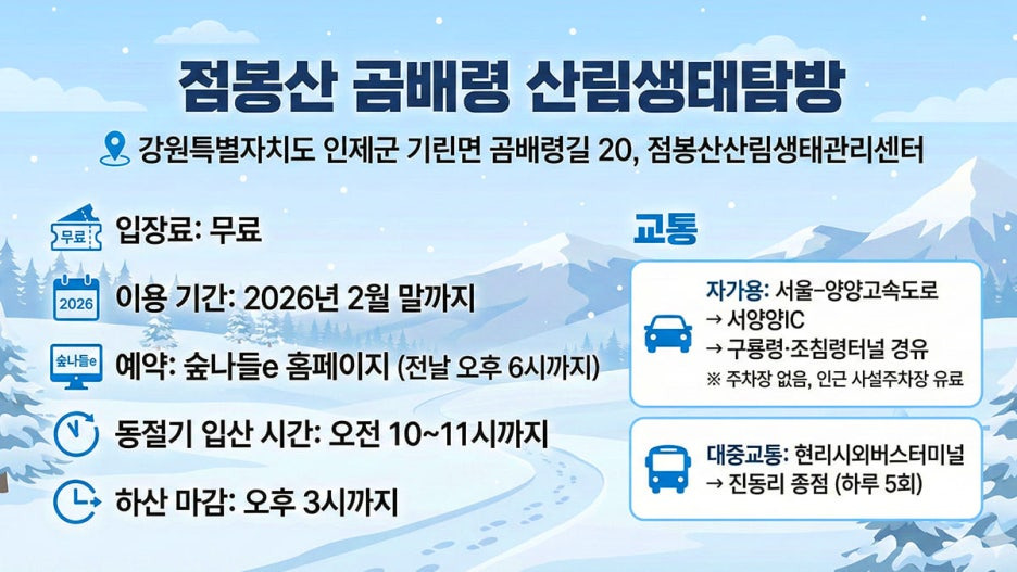 2월 말까지만! 점봉산 곰배령 겨울 등산