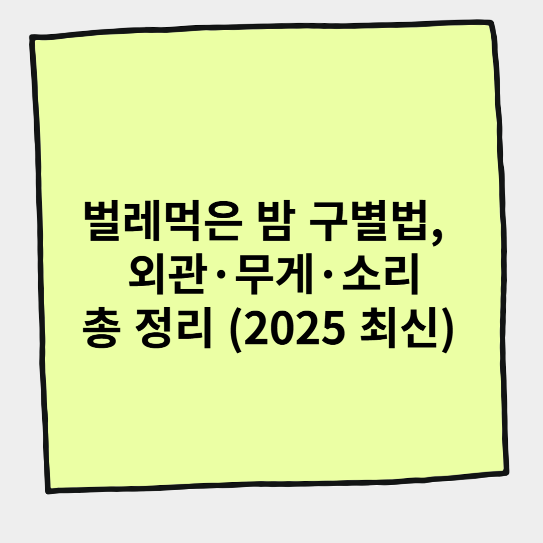 벌레먹은 밤 구별법, 외관·무게·소리 총 정리 (2025 최신)