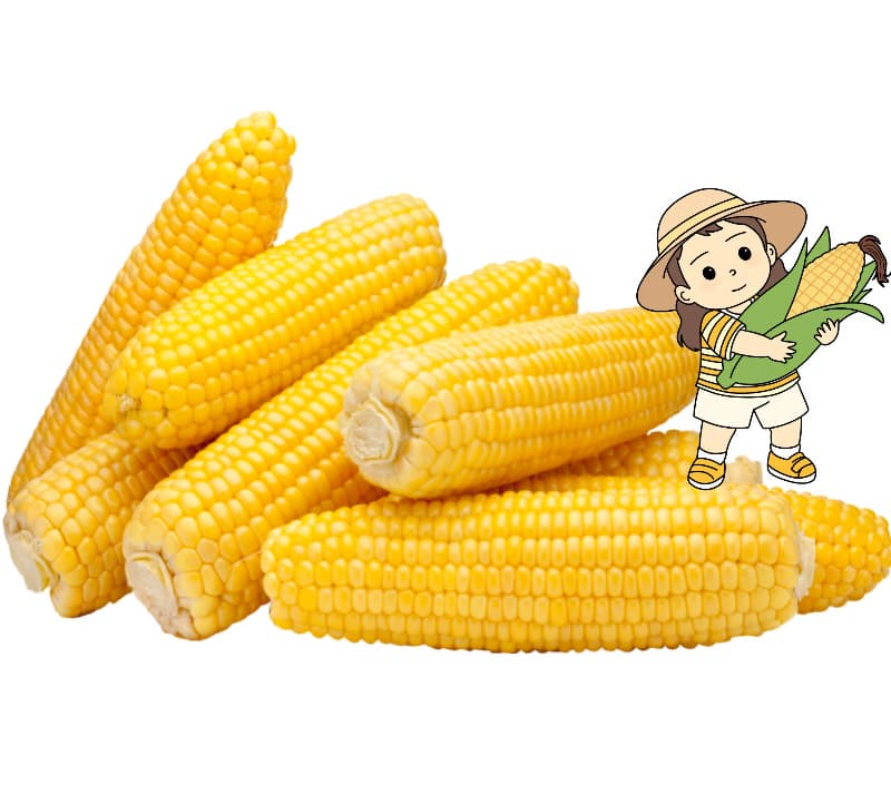 보관은 이렇게 하면 오래갑니다