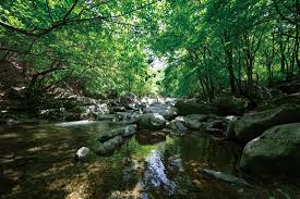 경기도계곡 추천 갈만한곳 베스트10