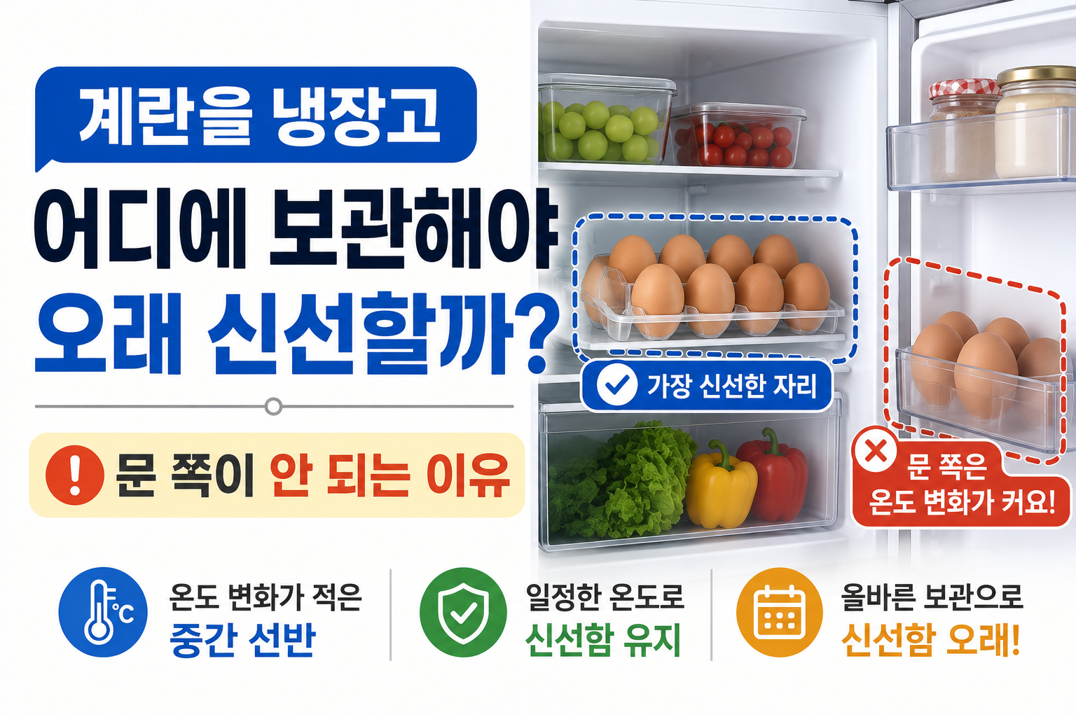 계란을 냉장고 어디에 보관해야 오래 신선할까? 문 쪽이 안 되는 이유
