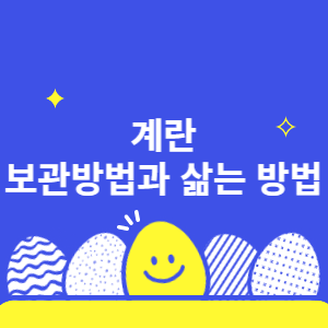 계란 보관방법과 삶는 방법 썸네일