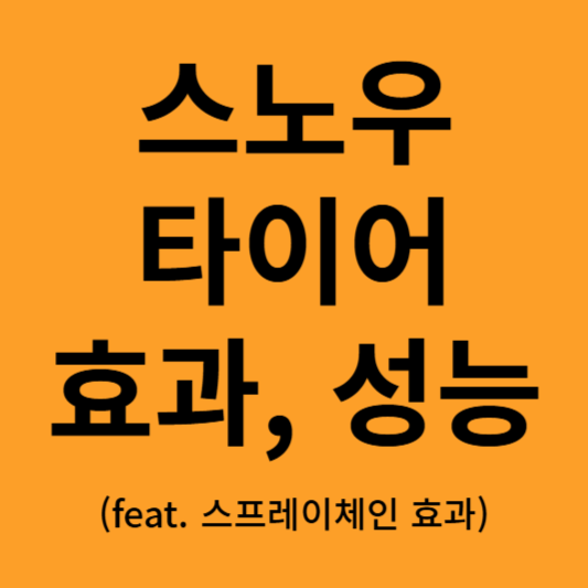 스노우 타이어 효과 및 성능