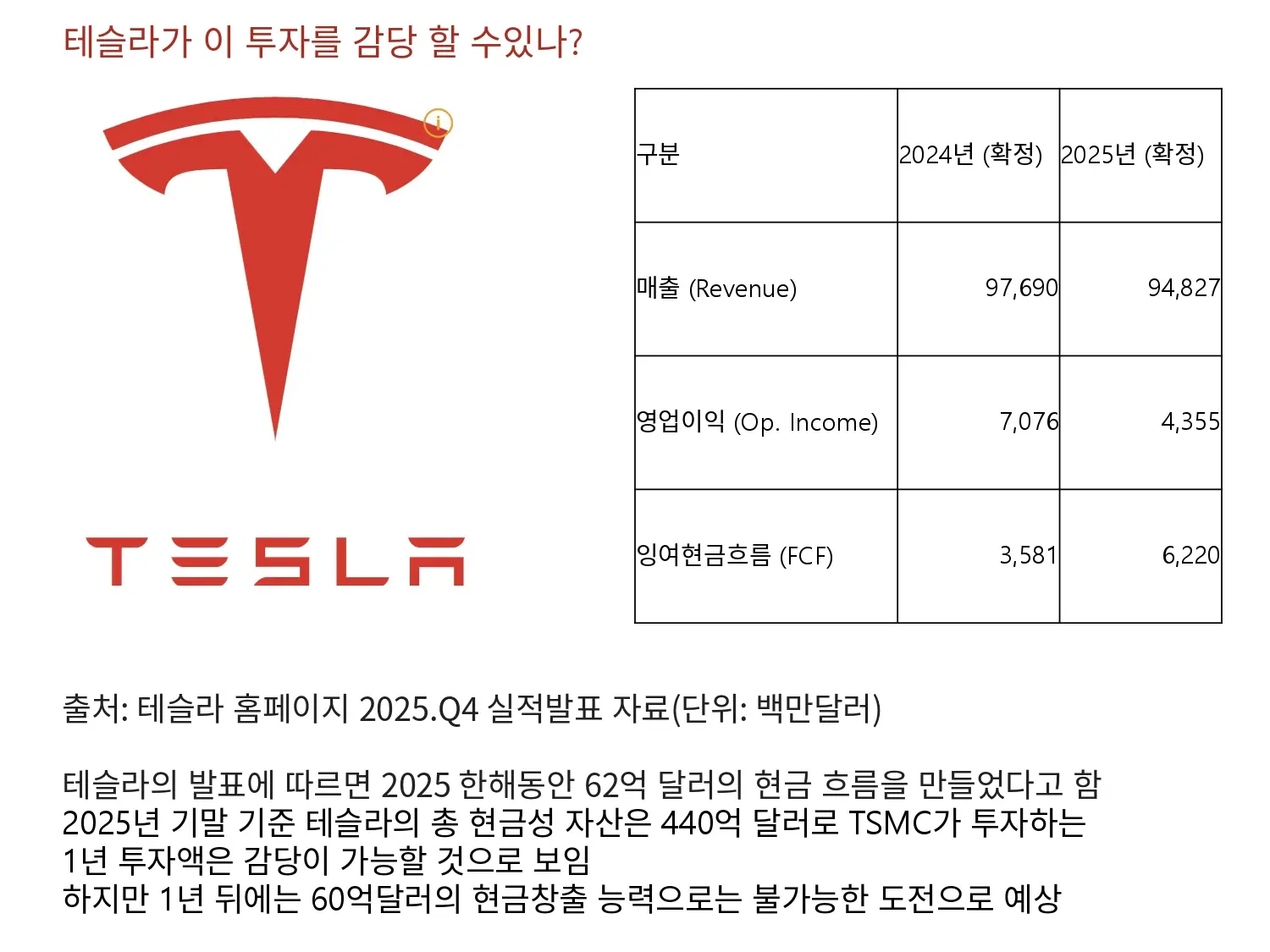 테슬라의 체력으로 이 투자를 감당할 수 있을까?