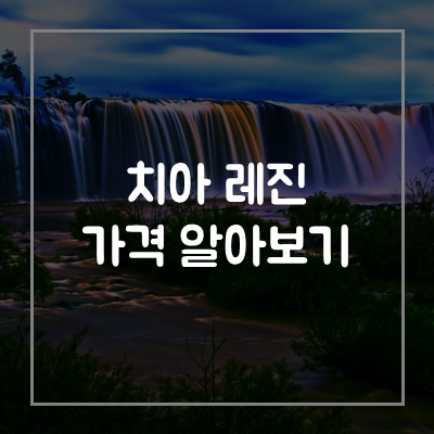 레진-가격-비용