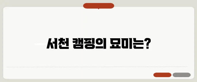서천에서 즐기는 캠핑의 모든 것, 후기와 팁