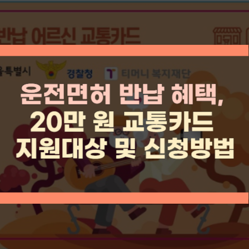 운전면허 혜택