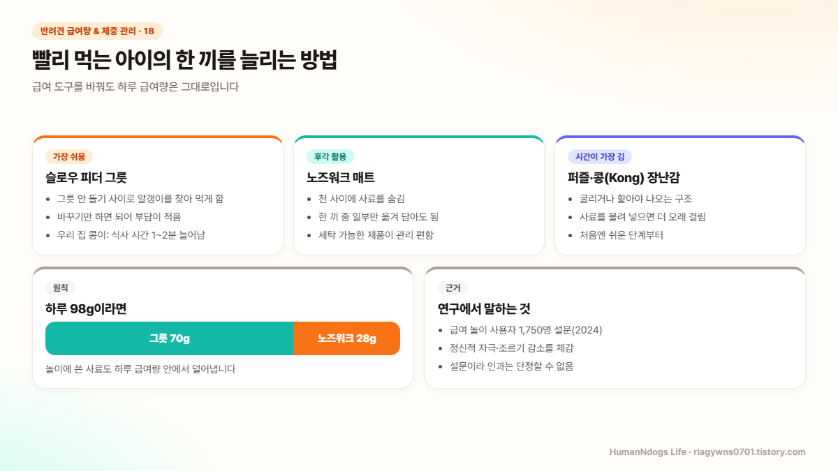 슬로우 피더 그릇, 노즈워크 매트, 퍼즐과 콩 장난감 세 가지 도구의 특징과 하루 98g을 그릇 70g과 노즈워크 28g으로 나누는 예시
