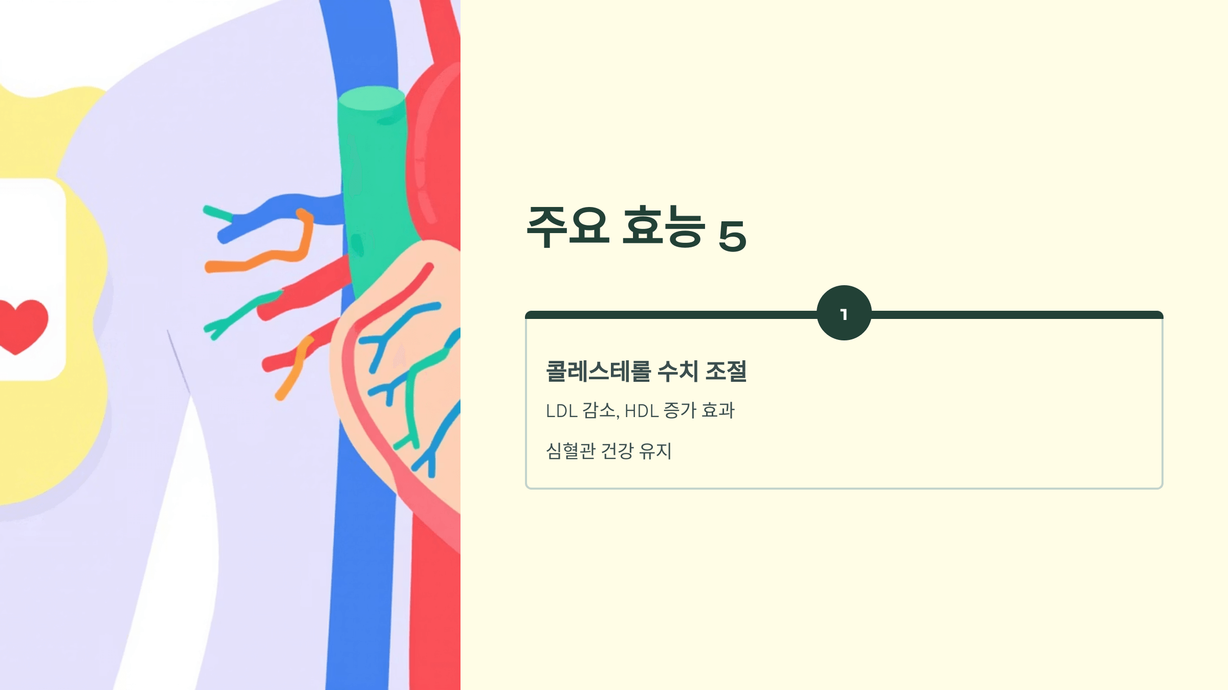 홍화씨 사진입니다.