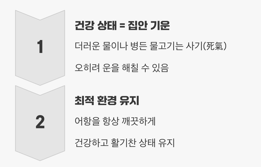 살아있는 보석, '관리'가 곧 '운'이다