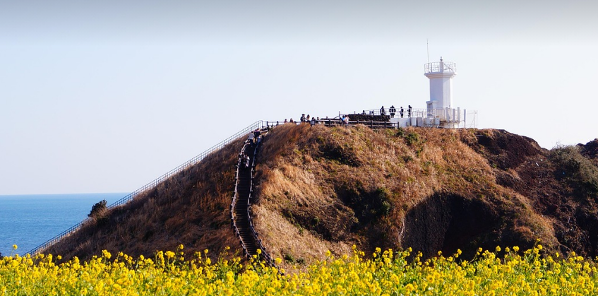 제주도의 모습