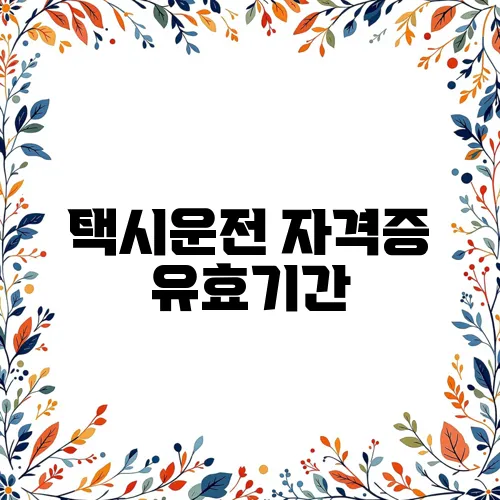 택시운전 자격증 유효기간