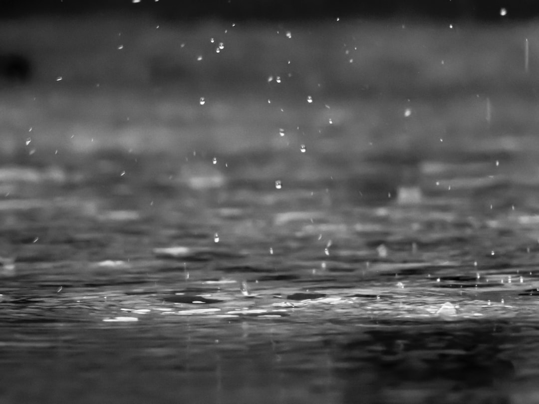 Rain.