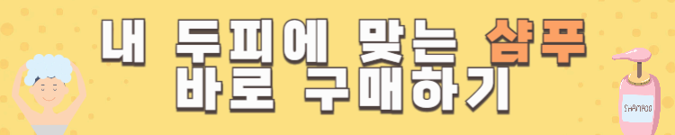 지루성 두피염과 탈모? 직접 써보고 추천하는 2025 남성 탈모 샴푸 TOP3