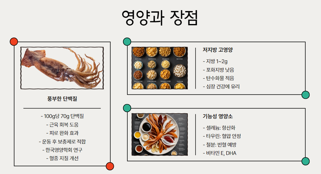 마른오징어의 영양과 장점
