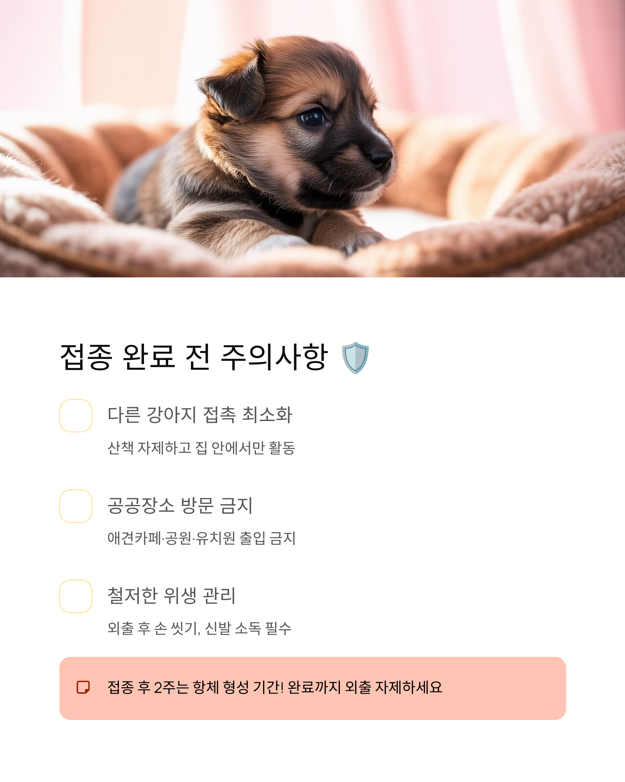 강아지 파보 🚨 증상·치료·예방접종 완벽 가이드!