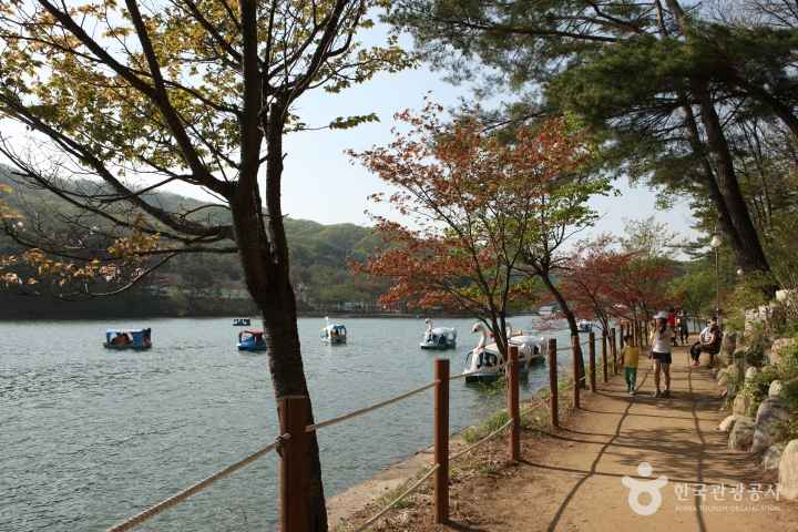 억새명소&amp;#44; 핑크뮬리명소&amp;#44; 무릎편한가을여행&amp;#44; 하늘공원억새&amp;#44; 신정호수공원&amp;#44; 갯골생태공원&amp;#44; 산정호수둘레길&amp;#44; 가산수피아&amp;#44; 서울억새축제&amp;#44; 가을꽃구경&amp;#44; 어르신가을여행&amp;#44; 부모님가을나들이&amp;#44; 평지산책로&amp;#44; 2026억새&amp;#44; 하늘공원전기차&amp;#44; 맹꽁이전기차&amp;#44; 핑크뮬리시기&amp;#44; 억새절정시기&amp;#44; 갯골생태공원핑크뮬리&amp;#44; 댑싸리&amp;#44; 아산가볼만한곳&amp;#44; 시흥가볼만한곳&amp;#44; 포천가볼만한곳&amp;#44; 칠곡가볼만한곳&amp;#44; 수도권억새명소&amp;#44; 무료가을여행지&amp;#44; 무장애산책로&amp;#44; 가을산책코스&amp;#44; 시니어여행&amp;#44; 황금길가이드