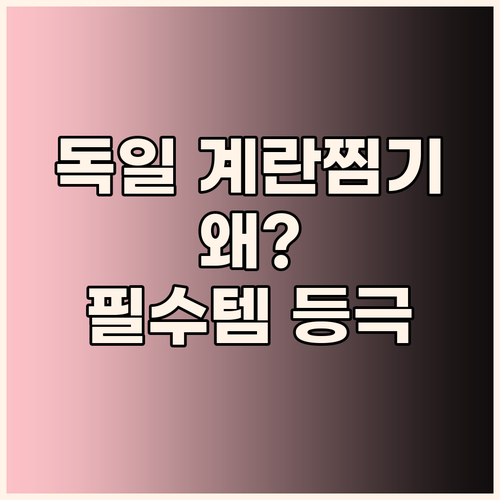 독일 프리미엄 계란찜기, 왜 주방 필..