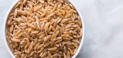 카무트 효소 효능