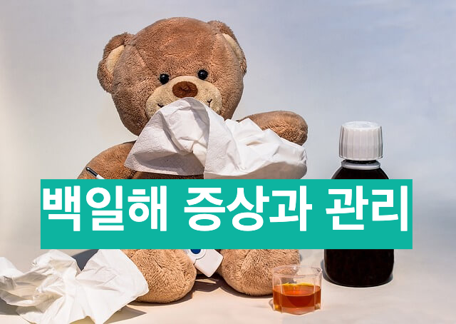 백일해