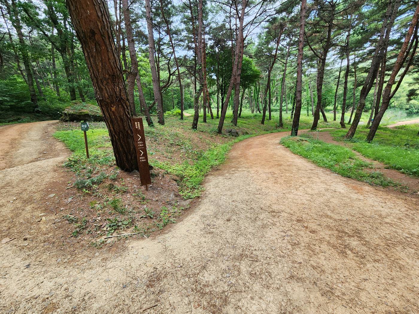 칠곡 가산수피아