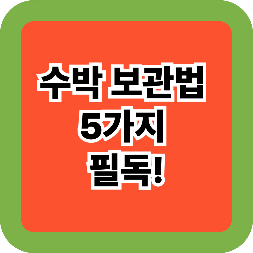수박 보관법 5가지 필독! 여름철 식중독 예방하는 신선 보관 꿀팁 총정리