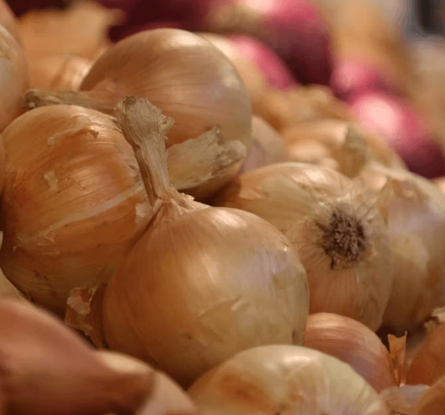 40대 여성을 위한 건강 식단: 전문가가 추천하는 10가지