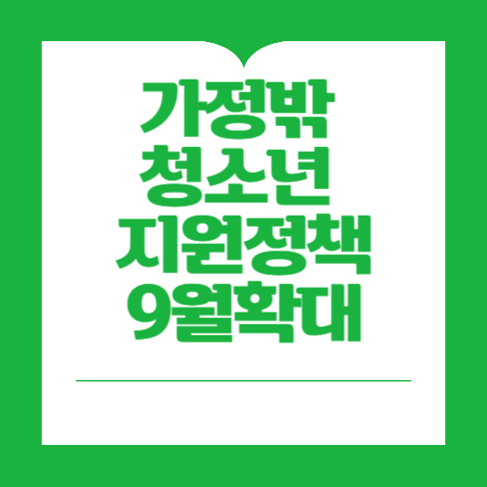 가정 밖 청소년 지원정책