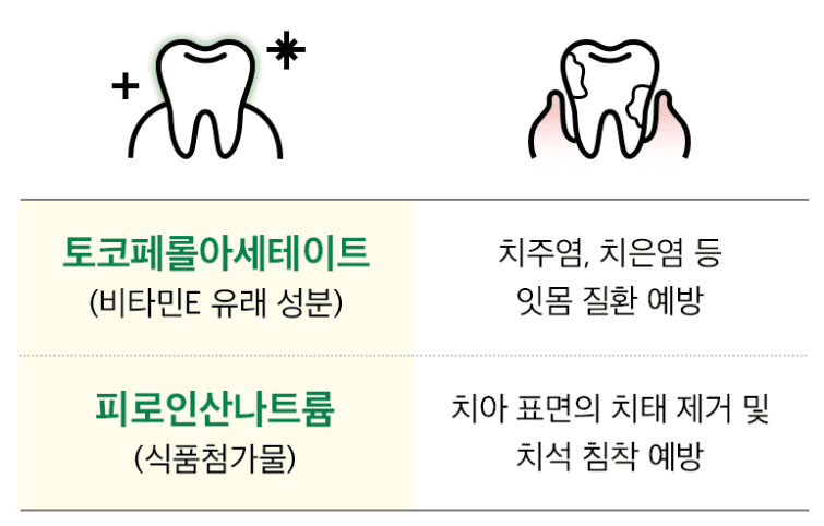 구취 고민 끝! 티타드 치약의 5가지 강점과 차별화된 성분 분석