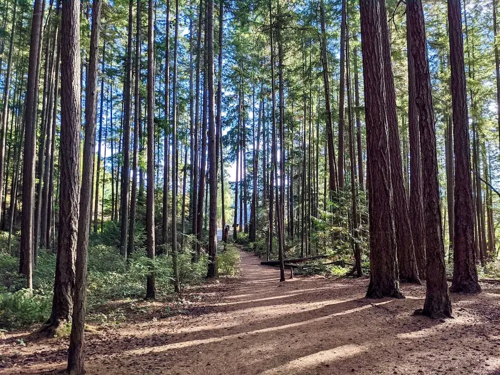 보츠헬 정원 (Boeing Creek Park &amp; Shoreview Park) 관련사진