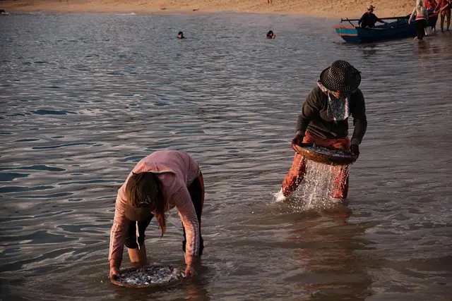 농어촌 기본소득 시범사업 지역 선정