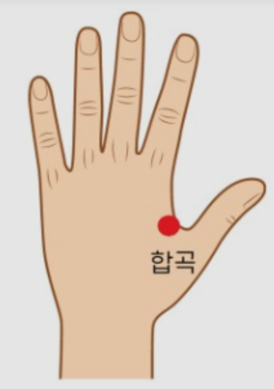합곡혈 위치