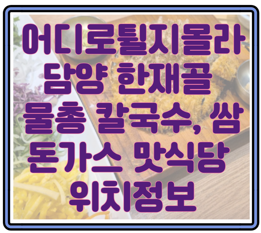 어디로튈지몰라 담양 한재골 물총 칼국수, 쌈 돈가스 맛식당 위치정보 및 메뉴,가격 완벽한 한 끼