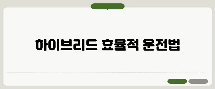 gv80 하이브리드 이용법 바로 적용 가능한 정보