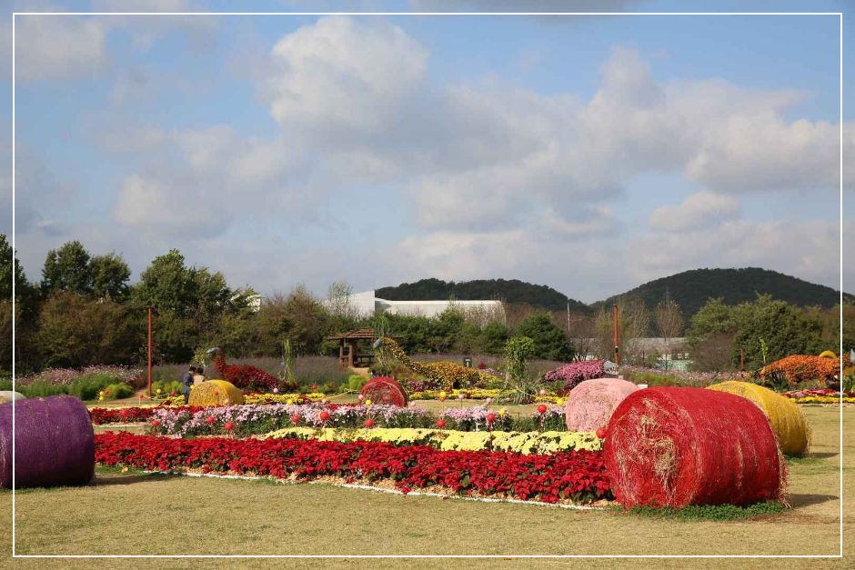 인천 드림파크 국화축제 이미지/ 출처: 대한민국 구석구석