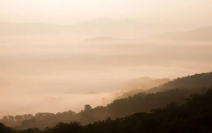 마이크로프랜드