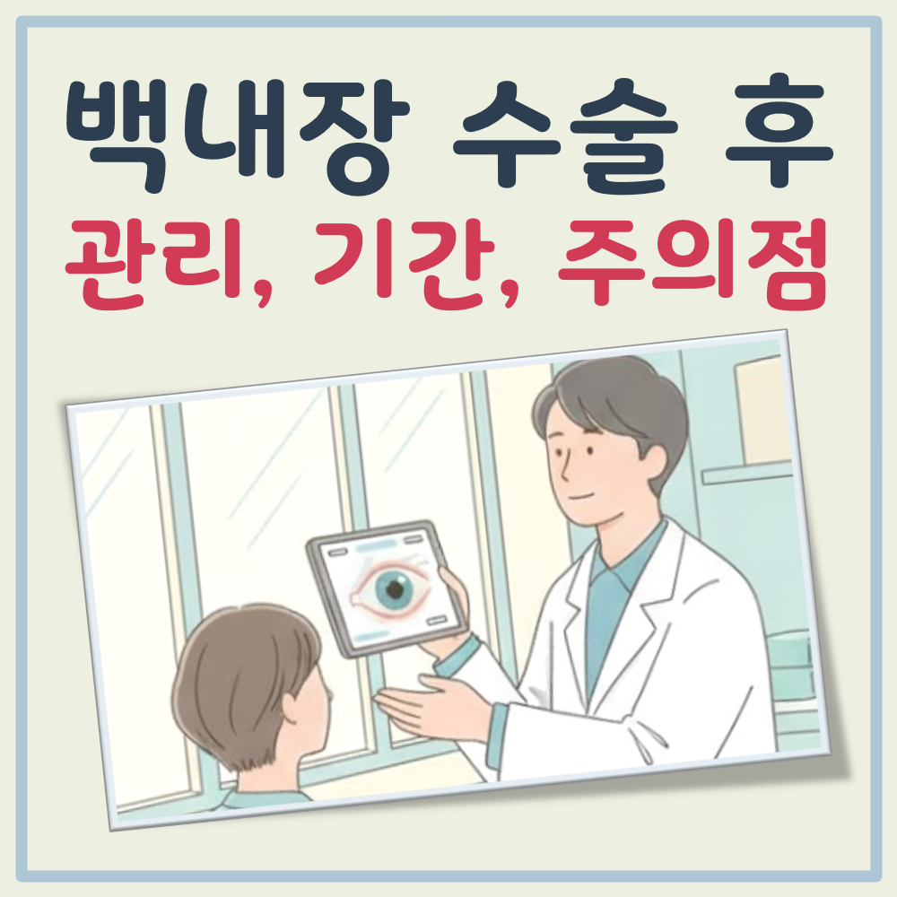 백내장 수술후 관리(회복 기간, 주의사항 포함) 대표 이미지