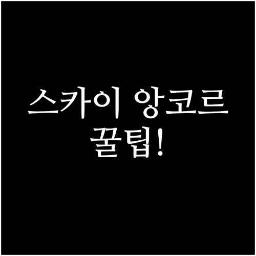 스카이 앙코르 항공 좌석 지정과 수하..