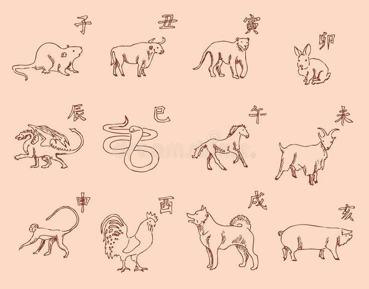 2025년 12월 31일 띠별 운세