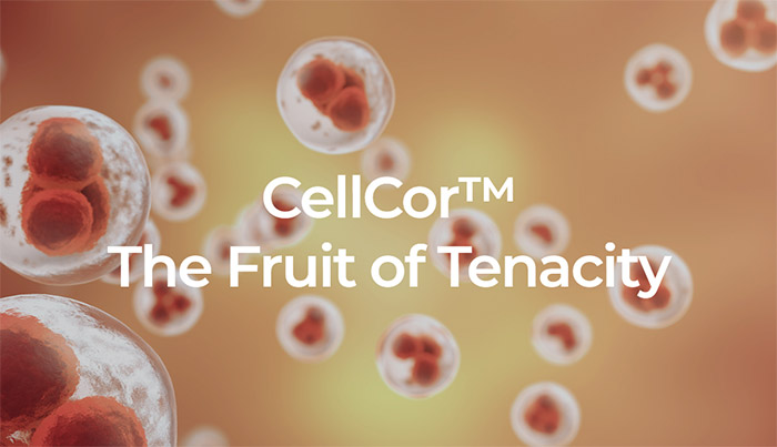 엑셀세라퓨틱스-공모주-청약-바이오-업계의-새로운-별이 뜬다