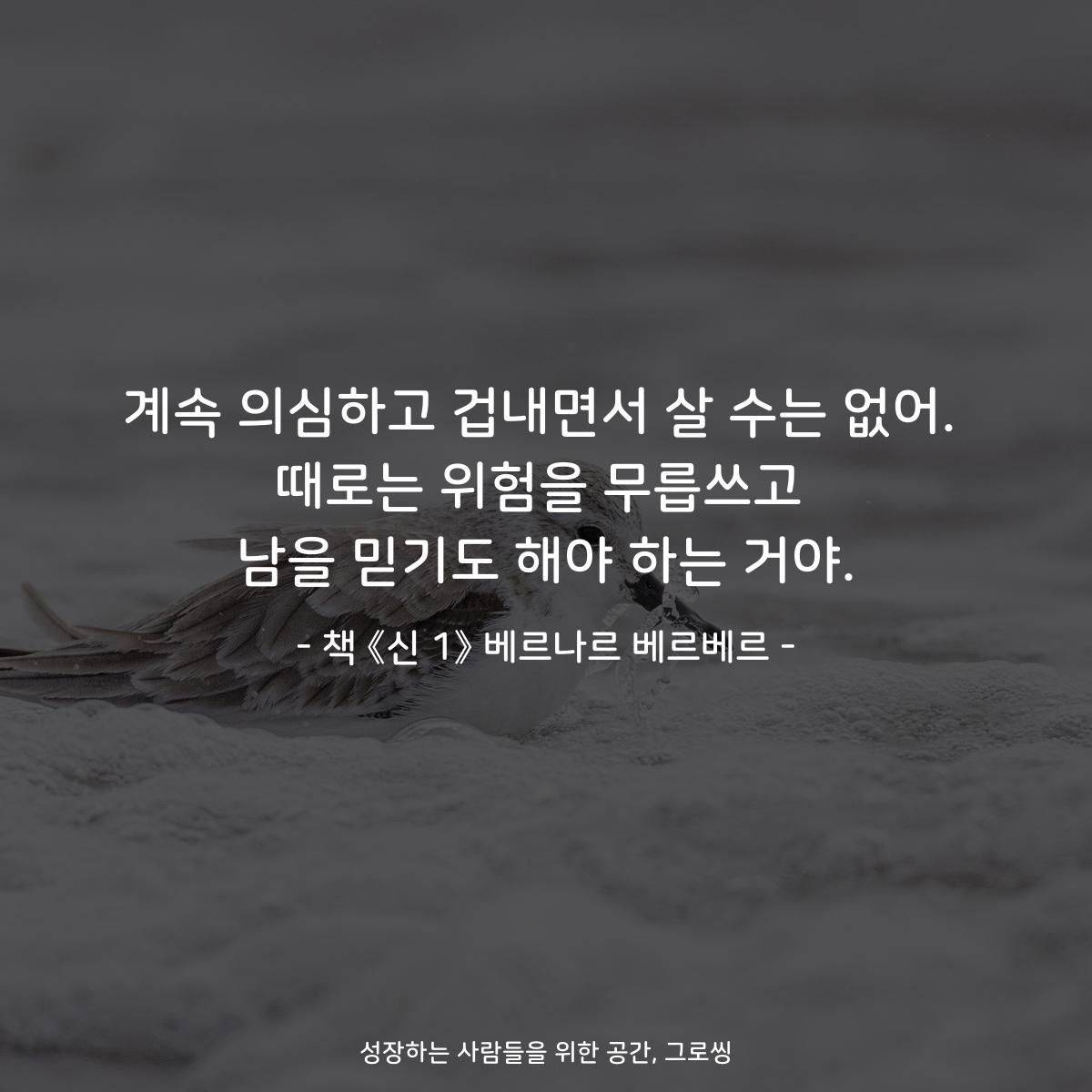 계속 의심하고 겁내면서 살 수는 없어.
때로는 위험을 무릅쓰고
남을 믿기도 해야 하는 거야.