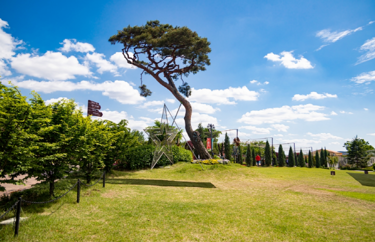퍼스트가든 별빛축제