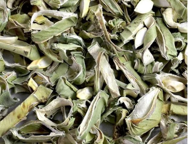 비염에 좋은 차