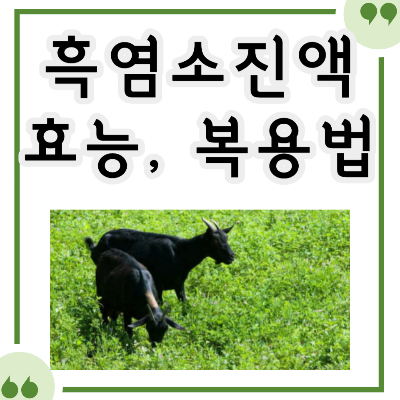 흑염소진액