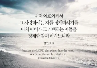 잠언 31장 25절 읽기 - 능력과 존귀로 옷을 삼고 후일을 웃으며_5