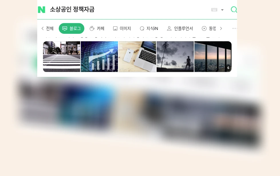 소상공인 정책자금_1_subsection