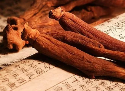 홍삼차